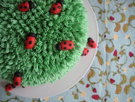 ladybug_cake_2.jpg