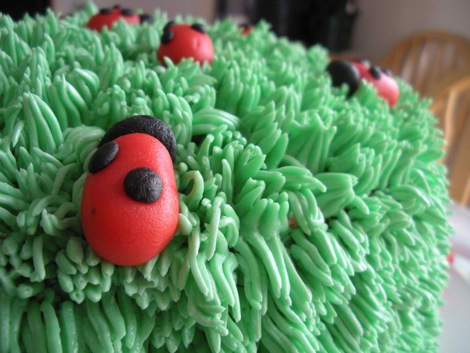 ladybug_cake_3.jpg