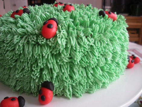 ladybug_cake_4.jpg