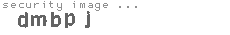 security image