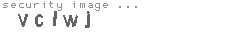 security image