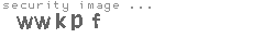 security image