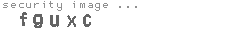 security image