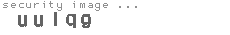 security image