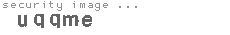 security image