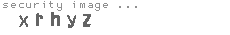 security image