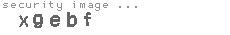 security image