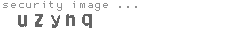 security image