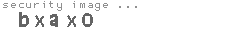 security image