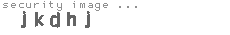 security image