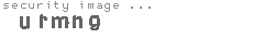 security image
