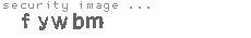 security image