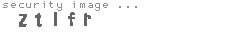 security image