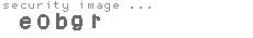 security image