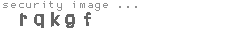 security image