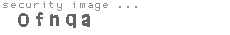 security image