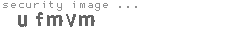 security image