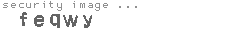 security image