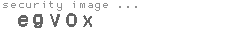 security image