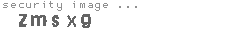 security image