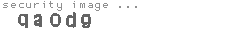 security image