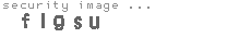 security image