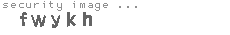 security image