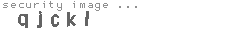 security image