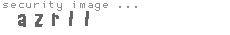 security image