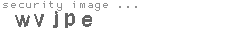 security image