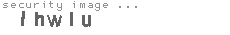 security image