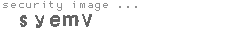 security image