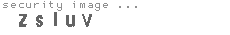 security image