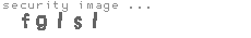 security image