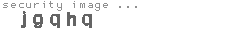 security image