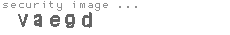 security image