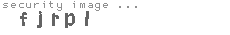 security image