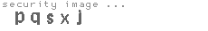 security image