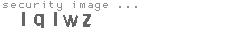 security image