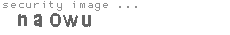security image