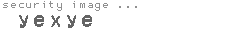 security image