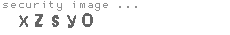 security image