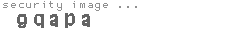 security image