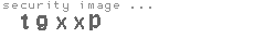 security image