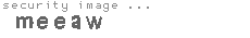 security image