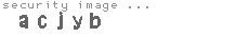 security image