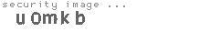 security image