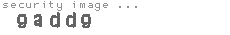security image