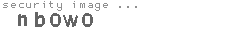 security image