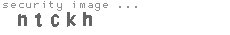 security image